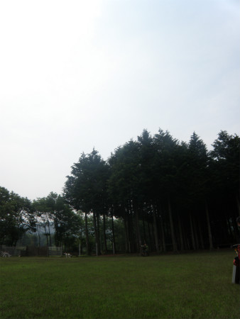 11060501.jpg
