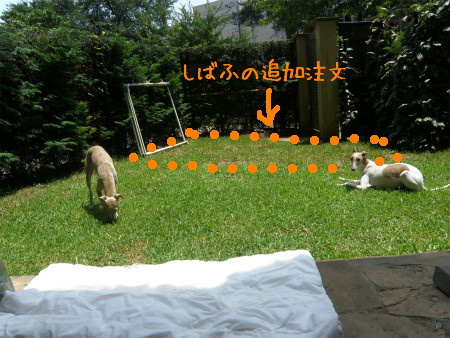 11070202.jpg