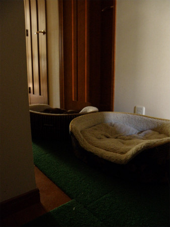 11071004.jpg