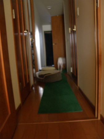 11071005.jpg