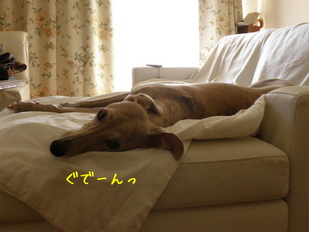 11071006.jpg