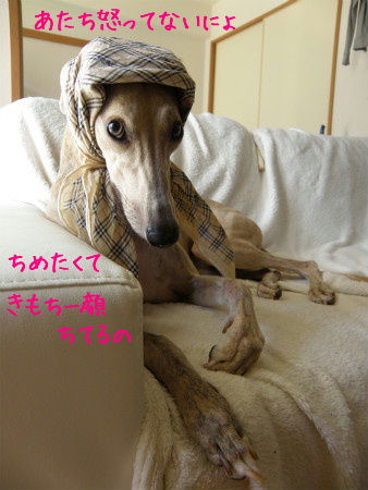 11071009.jpg