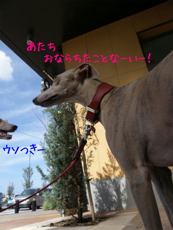11072402.jpg