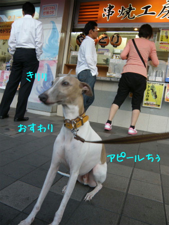 11072450.jpg
