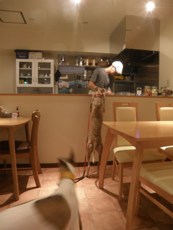 11082003.jpg