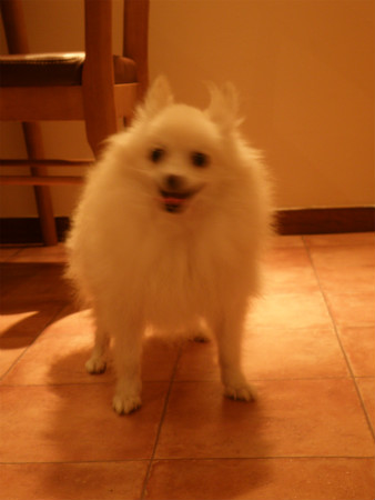 11082004.jpg