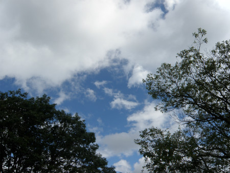 11092302.jpg