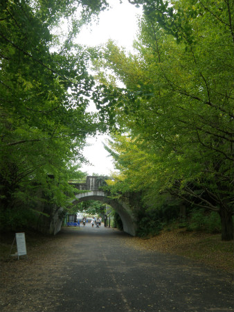 11103012.jpg