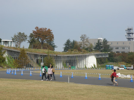 11110306.jpg