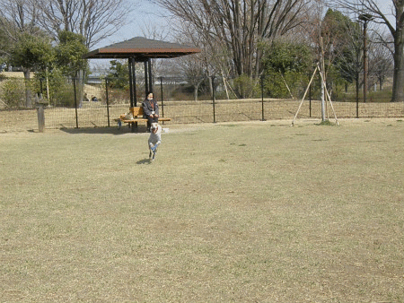 13655987018xJ0d2Q6ghyf5Qz1365598698.gif