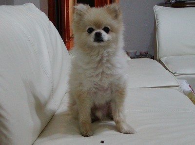 2002.08_06.jpg