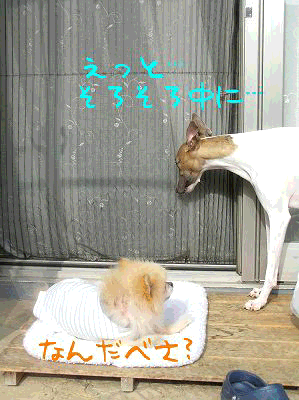 2007-08-24_anime.gif