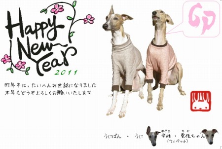 2011010101.jpg