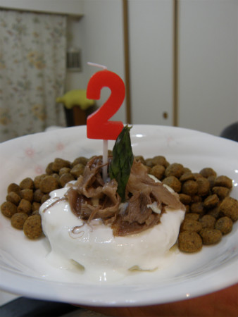2011051001.jpg