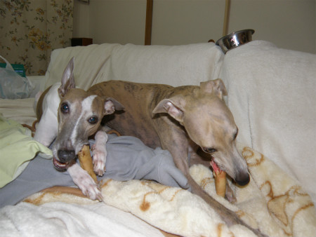 2011111901.jpg