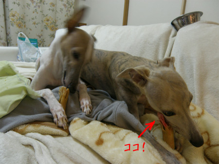 2011111902.jpg
