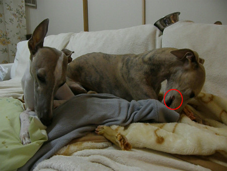 2011111903.jpg