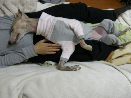 2011112201.jpg