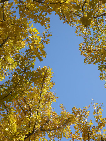 2011112301.jpg