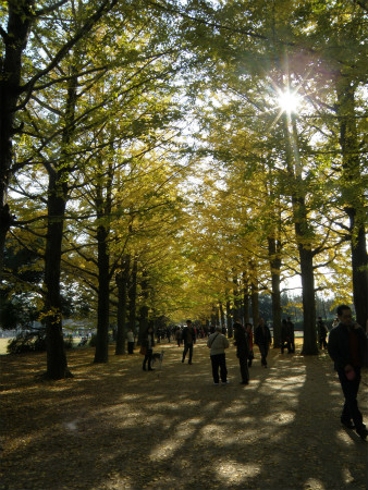 2011112302.jpg