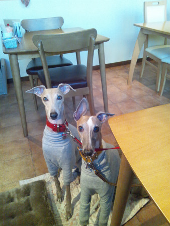 2012010801.jpg