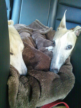2012011201.jpg