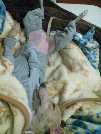 2012031701.jpg