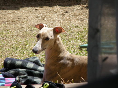 2012040801.jpg