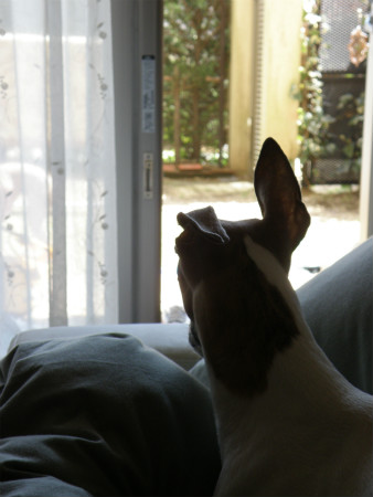 2012040802.jpg