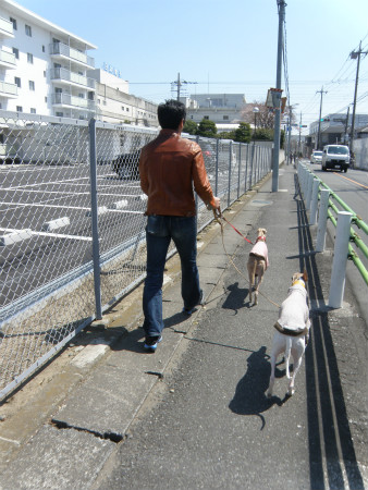 2012040803.jpg