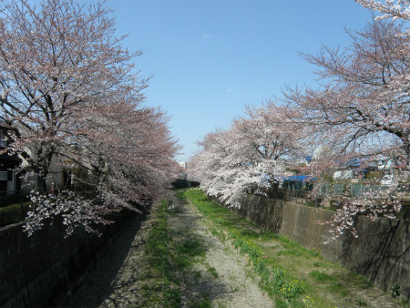 2012040804.jpg