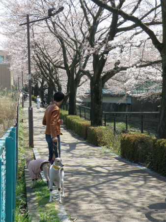 2012040806.jpg