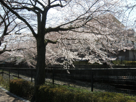2012040807.jpg