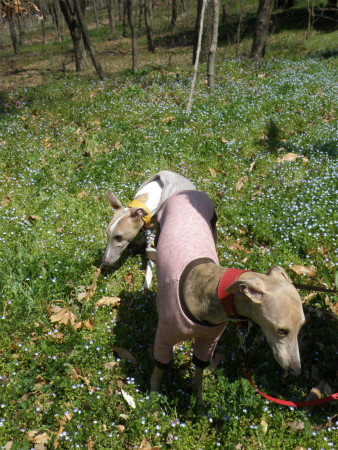 2012040809.jpg