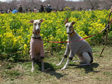 2012040810.jpg