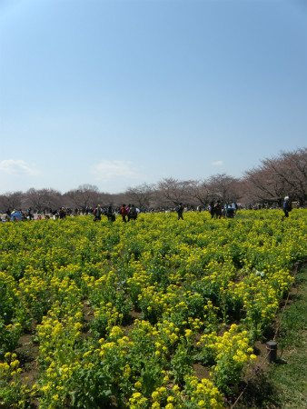 2012040811.jpg