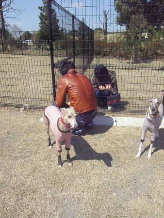 2012040814.jpg