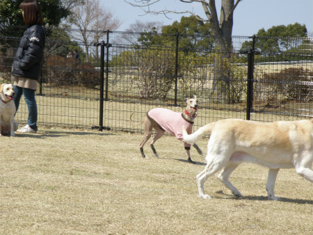 2012040817.jpg