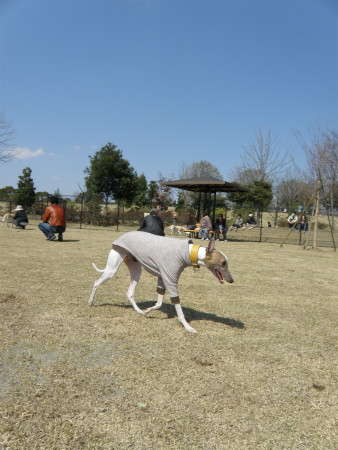 2012040818.jpg