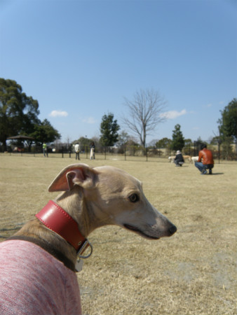2012040819.jpg