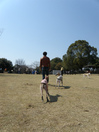 2012040820.jpg