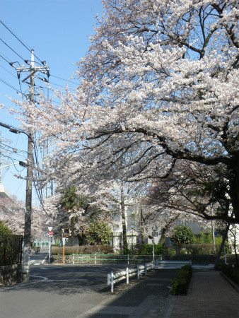 2012040821.jpg