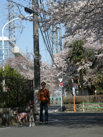2012040822.jpg