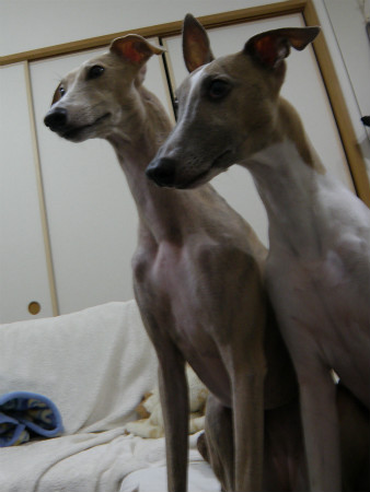 2012041001.jpg