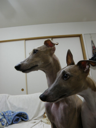 2012041002.jpg