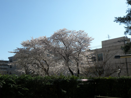 2012041201.jpg
