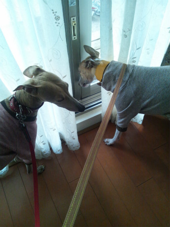 2012041301.jpg