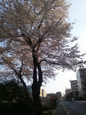 2012041302.jpg