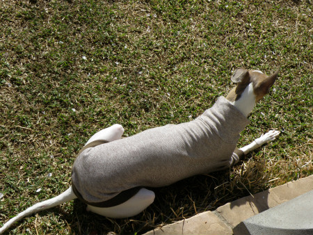 2012041302.jpg
