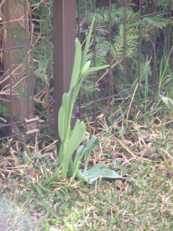 2012041303.jpg